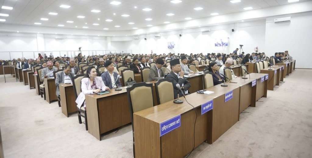 राष्ट्रिय सेवा दल विधेयकमा बालअधिकार सुनिश्चित गर्न आग्रह